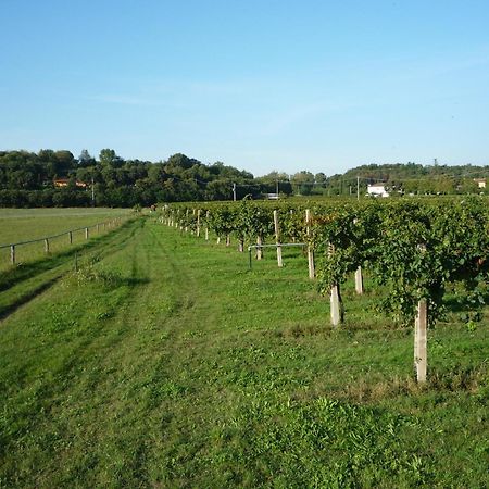 Agriturismo Lupo Bianco Monzambano Eksteriør bilde