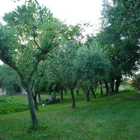 Agriturismo Lupo Bianco Monzambano Eksteriør bilde