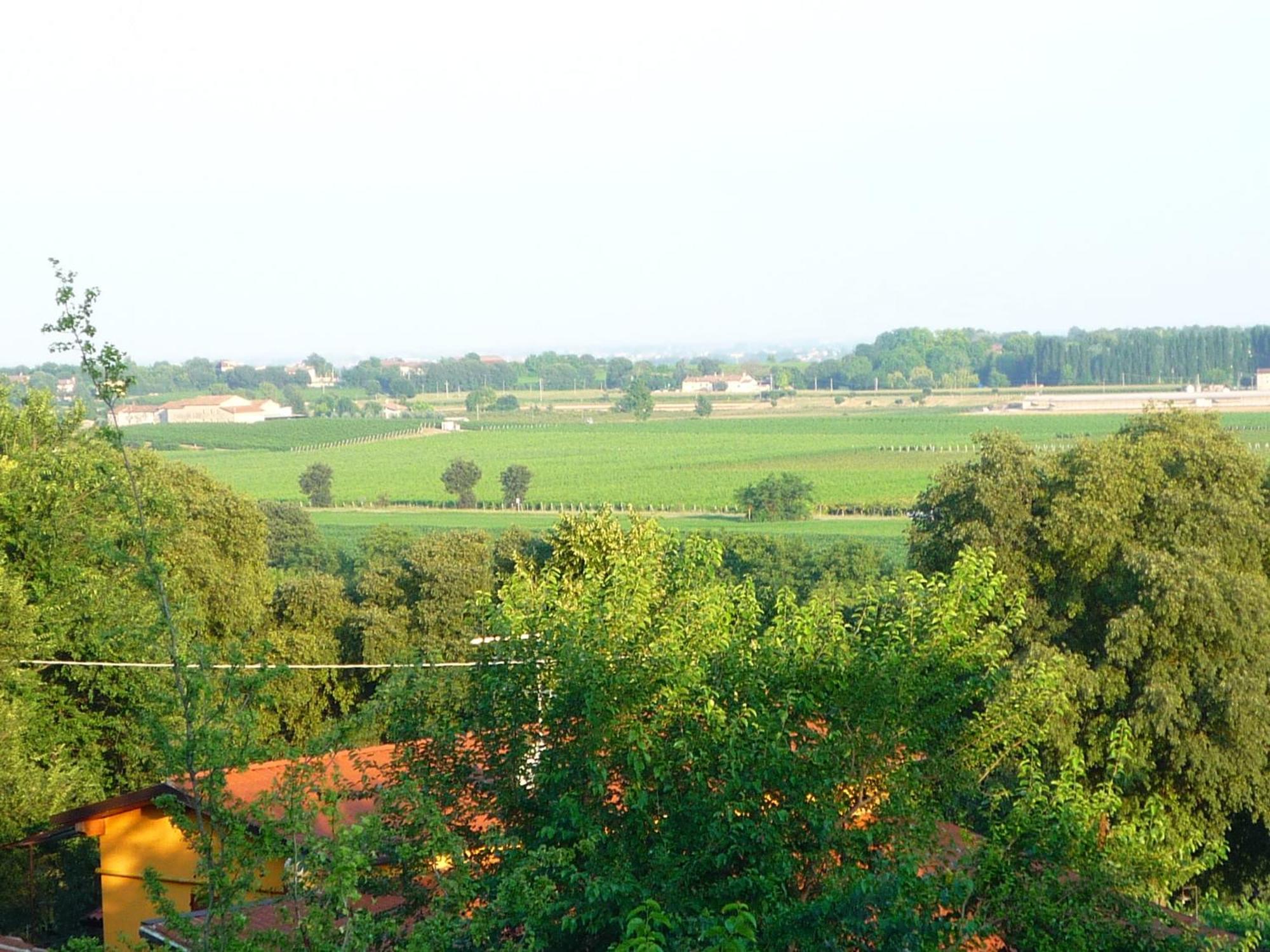 Agriturismo Lupo Bianco Monzambano Eksteriør bilde