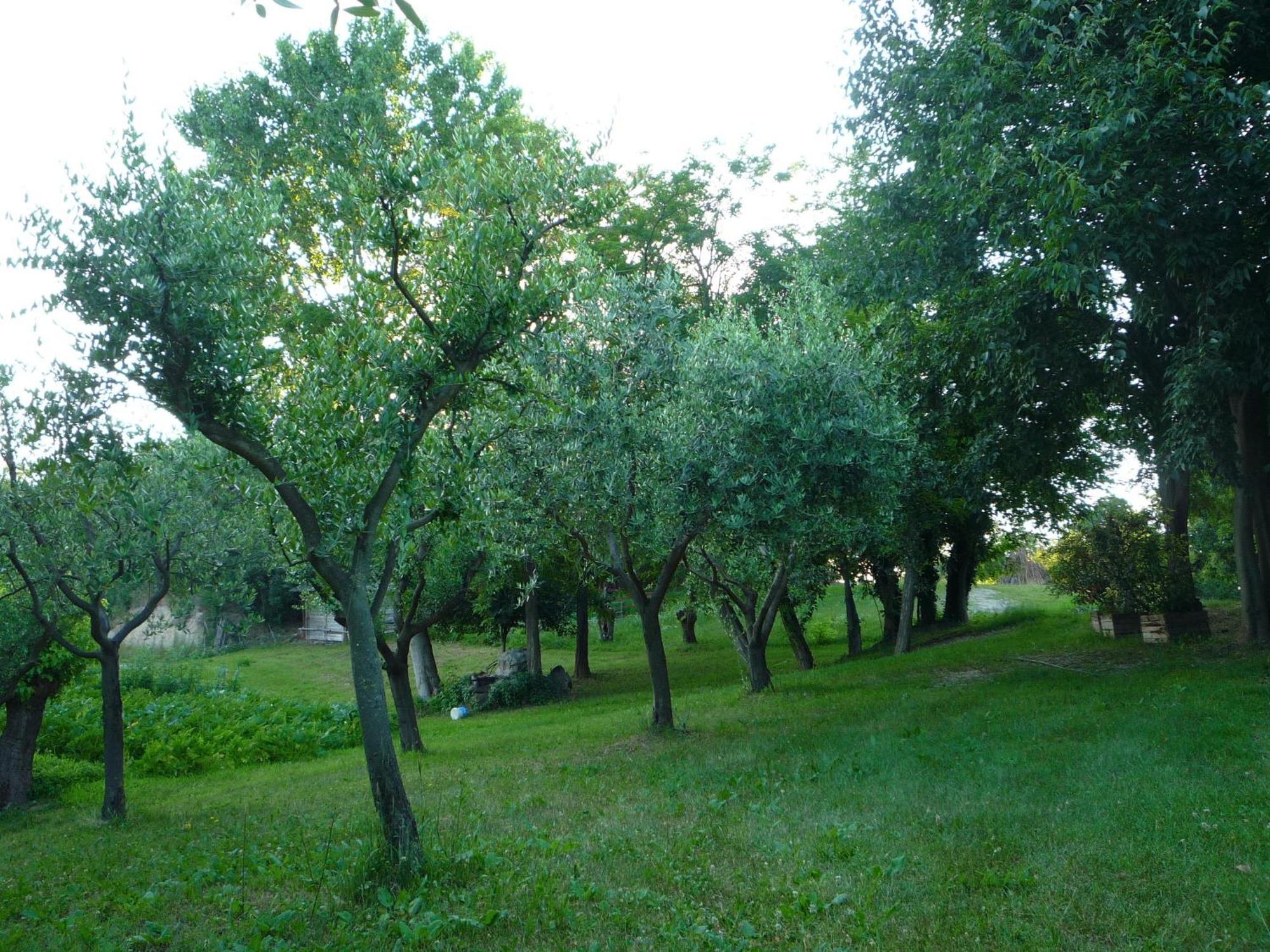 Agriturismo Lupo Bianco Monzambano Eksteriør bilde