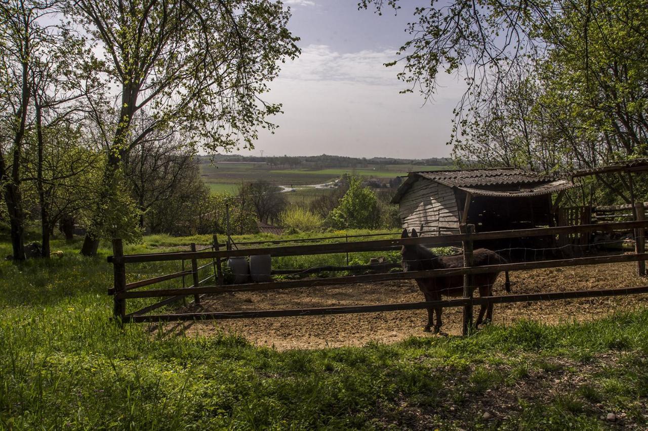 Agriturismo Lupo Bianco Monzambano Eksteriør bilde